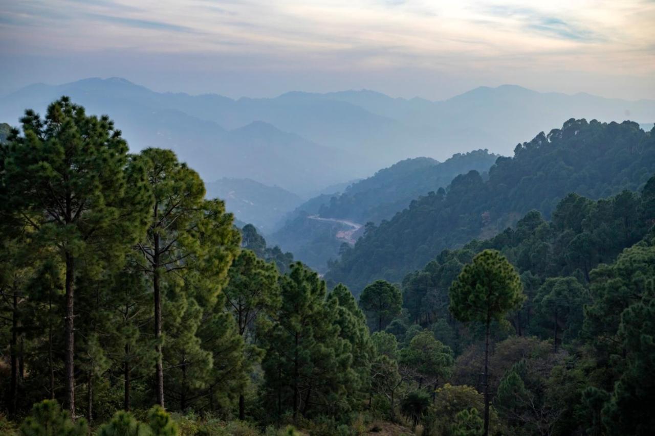 Apartamento Kanda Road 4 Kasauli Exterior foto