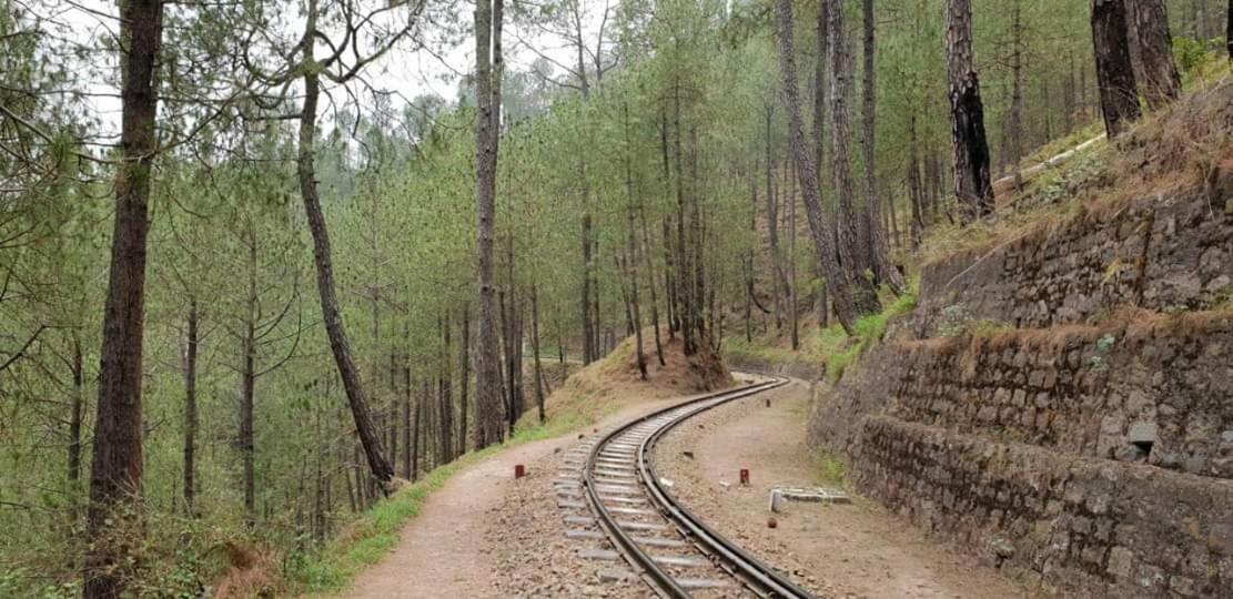 Apartamento Kanda Road 4 Kasauli Exterior foto